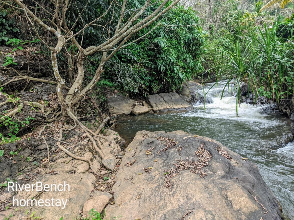 Riverbench Homestay Munnar, Anaviratty Εξωτερικό φωτογραφία