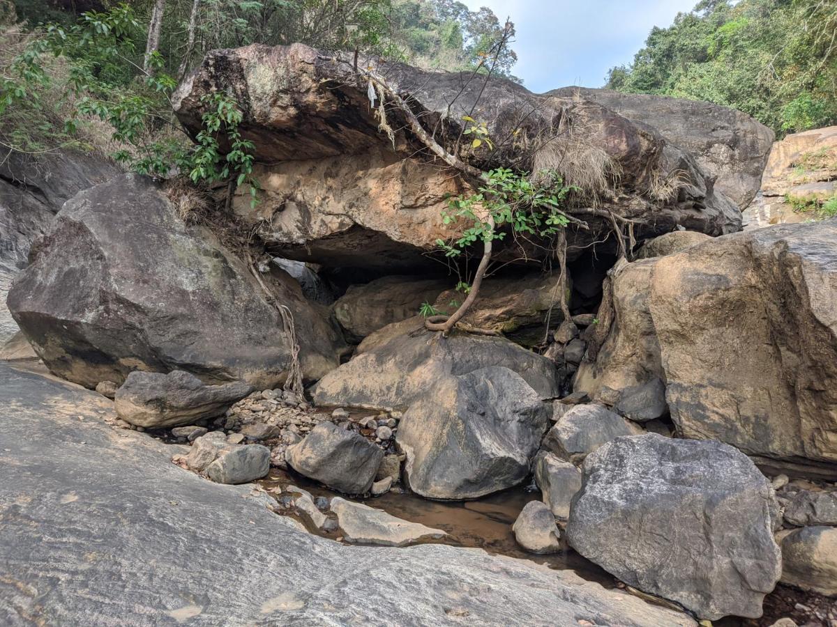 Riverbench Homestay Munnar, Anaviratty Εξωτερικό φωτογραφία