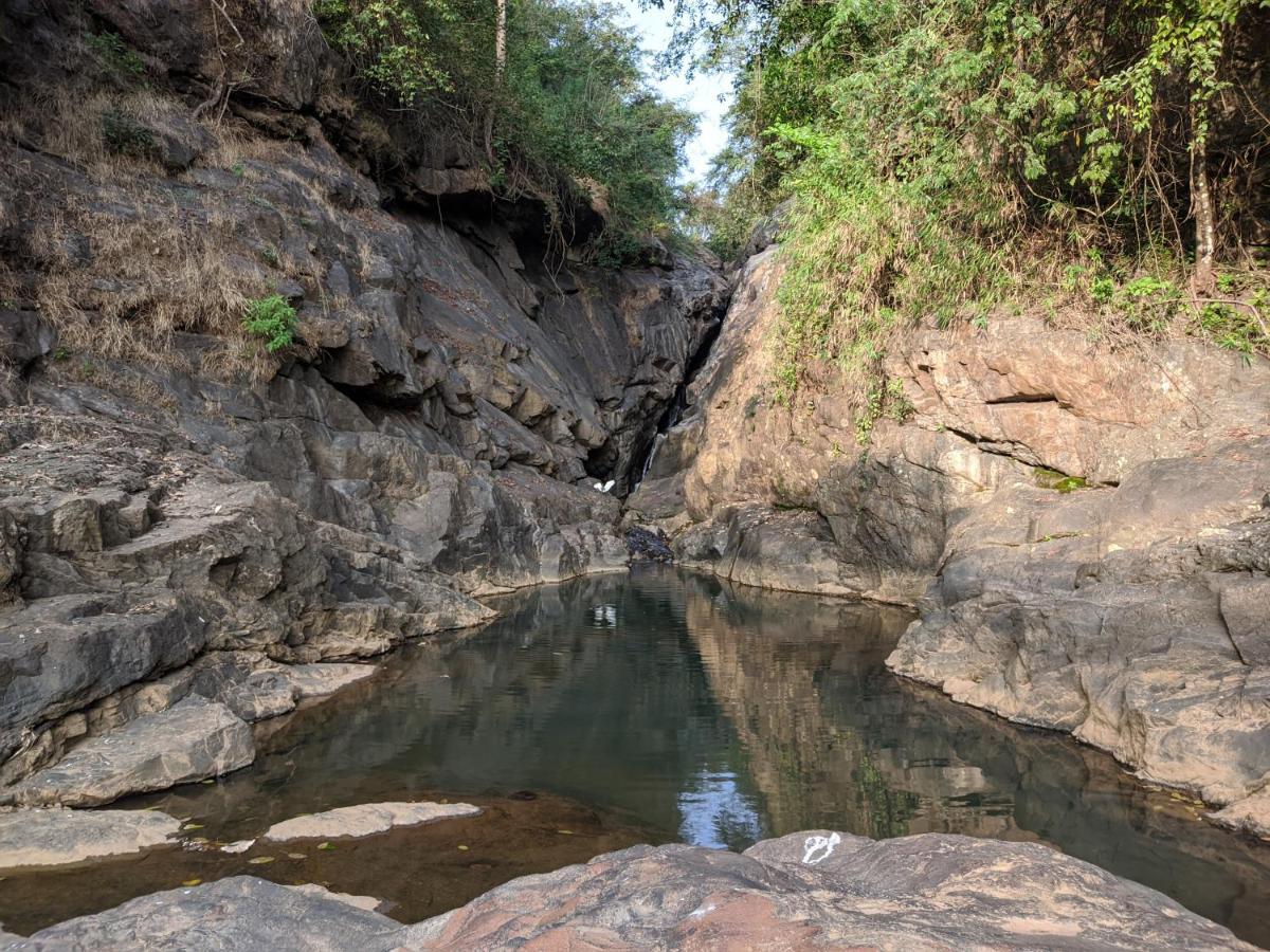 Riverbench Homestay Munnar, Anaviratty Εξωτερικό φωτογραφία