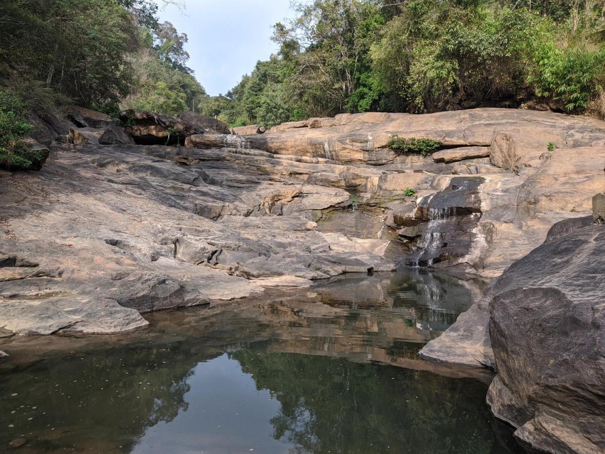 Riverbench Homestay Munnar, Anaviratty Εξωτερικό φωτογραφία