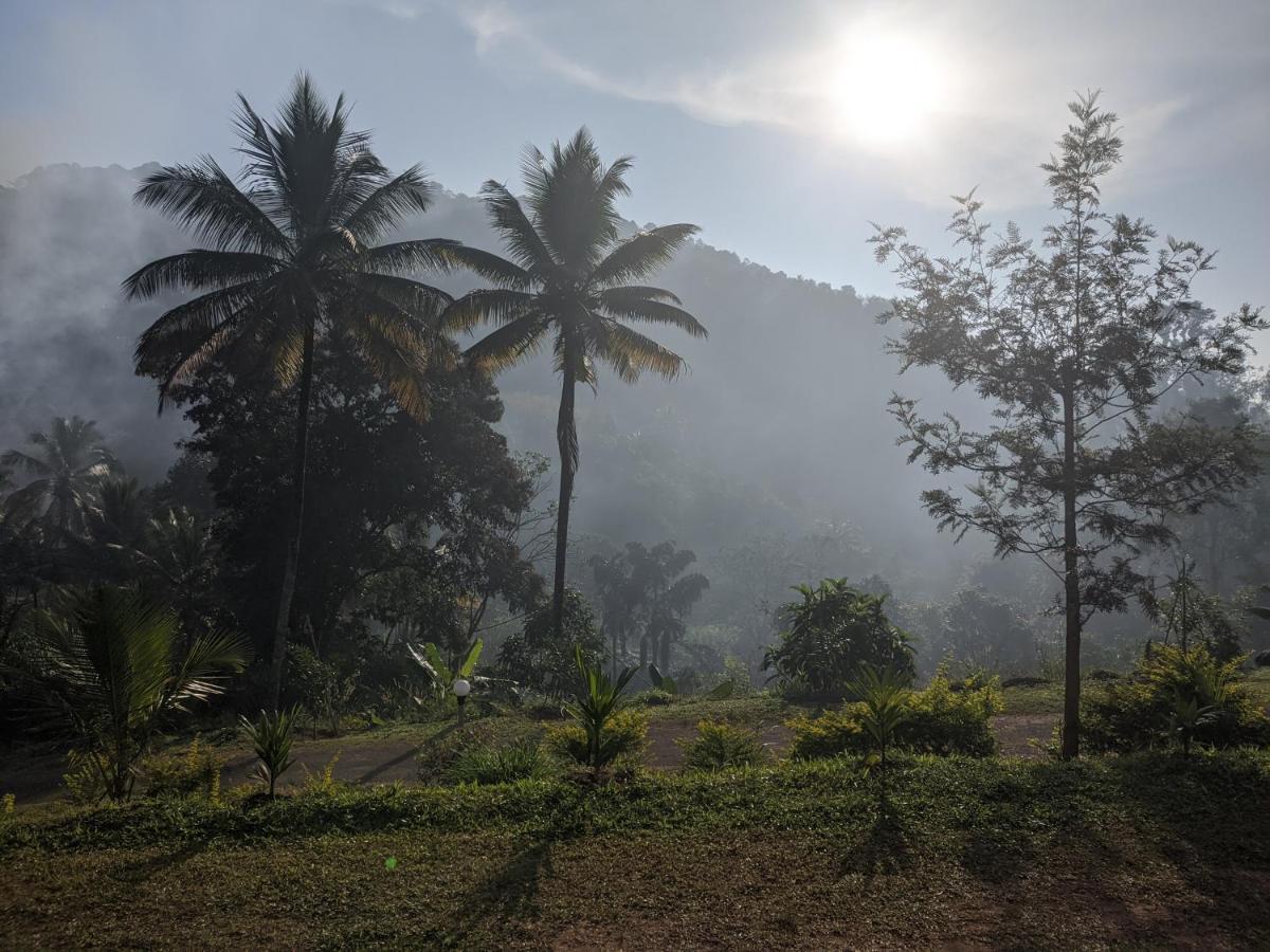 Riverbench Homestay Munnar, Anaviratty Εξωτερικό φωτογραφία