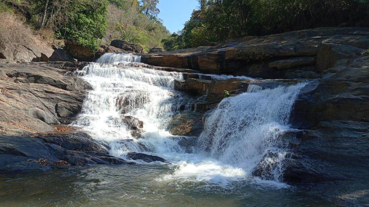 Riverbench Homestay Munnar, Anaviratty Εξωτερικό φωτογραφία