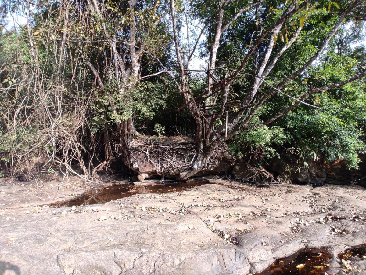 Riverbench Homestay Munnar, Anaviratty Εξωτερικό φωτογραφία