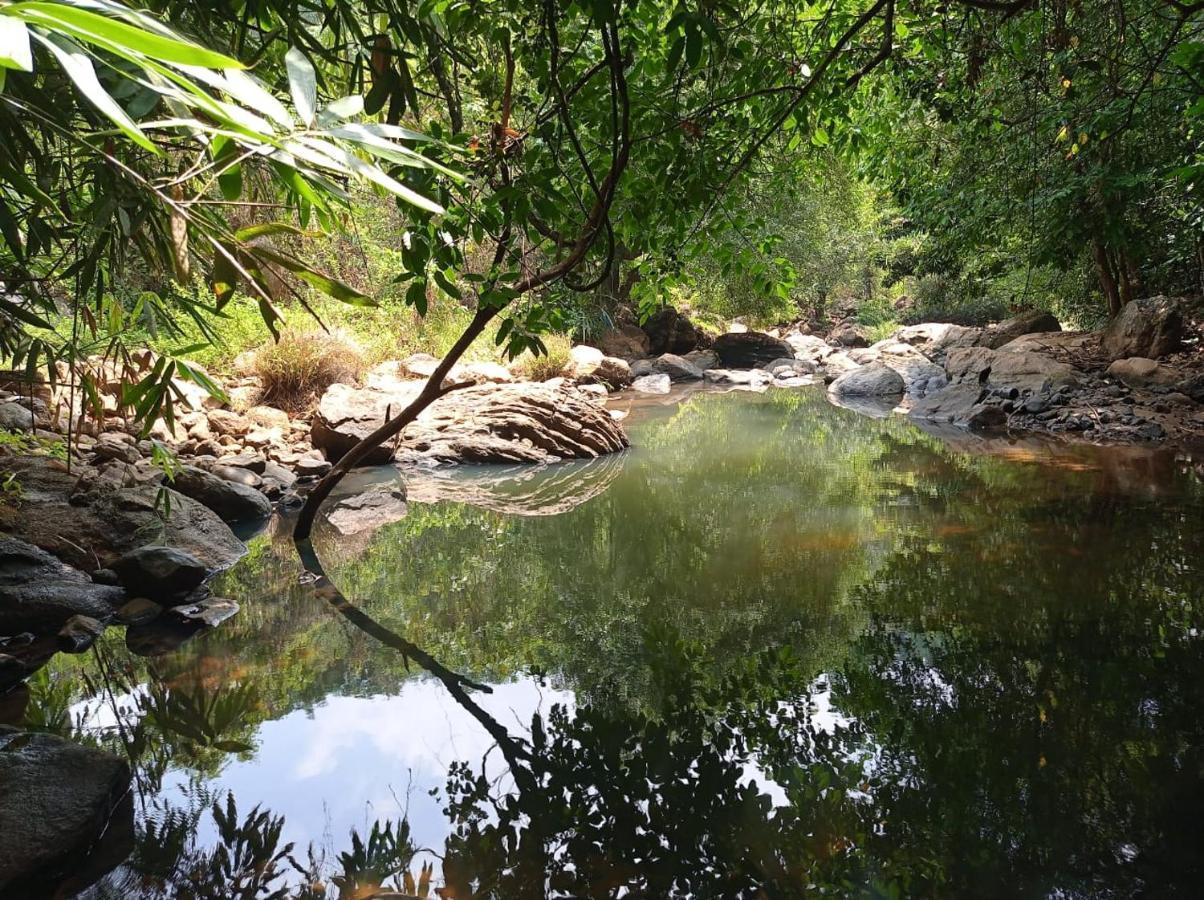 Riverbench Homestay Munnar, Anaviratty Εξωτερικό φωτογραφία